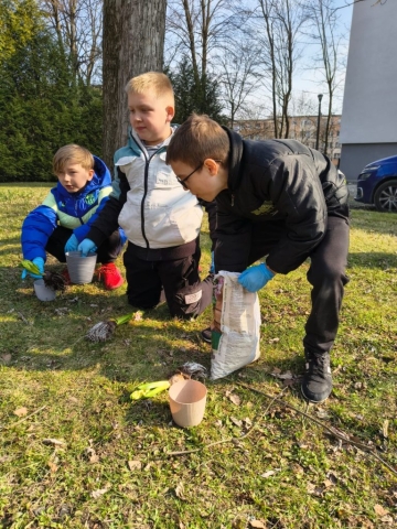 Wiosna w 3b! Sadzimy hiacynty! (11)