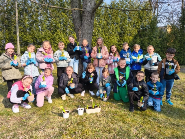 Wiosna w 3b! Sadzimy hiacynty! (9)